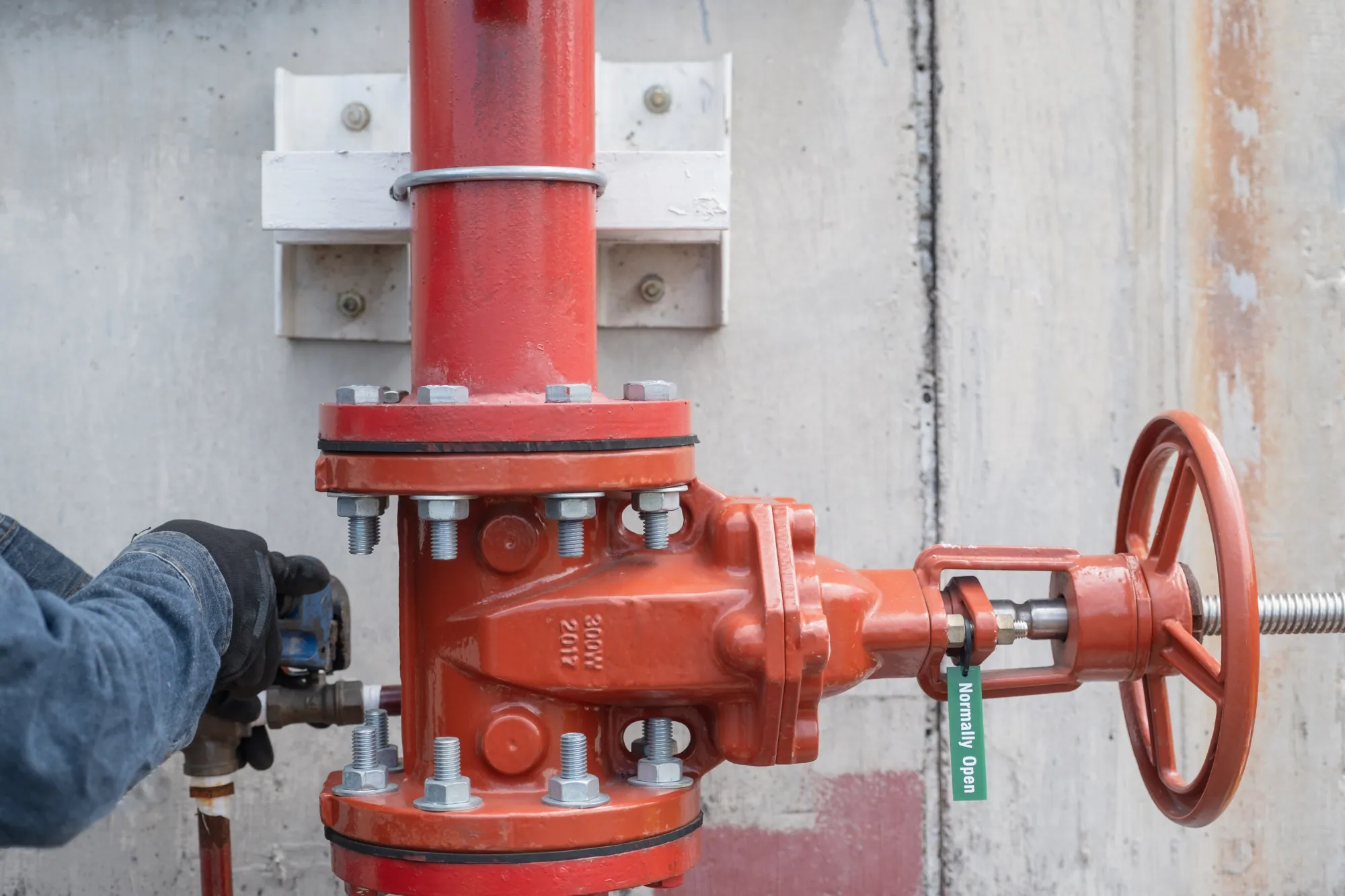 Fire sprinkler pipe network installed by Bay Guard