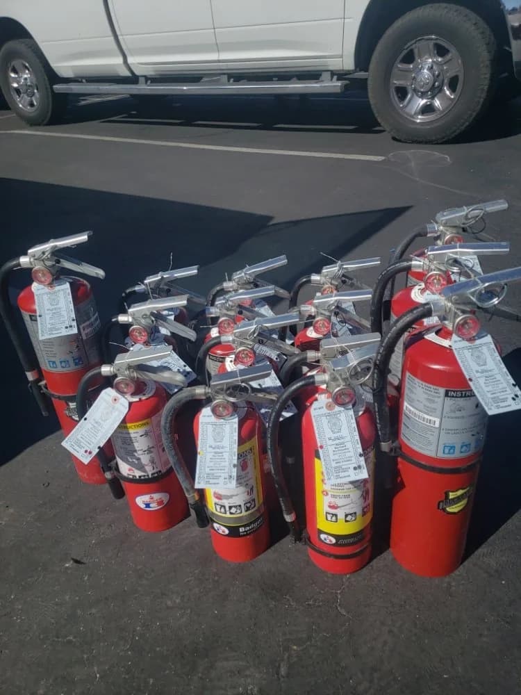 Row of serviced fire extinguishers